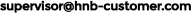 e-supervisor